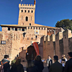 CASTILLO_ENTRADA2