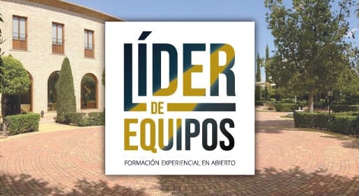 Líder de Equipos