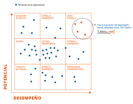 talento evaluacion desempeño