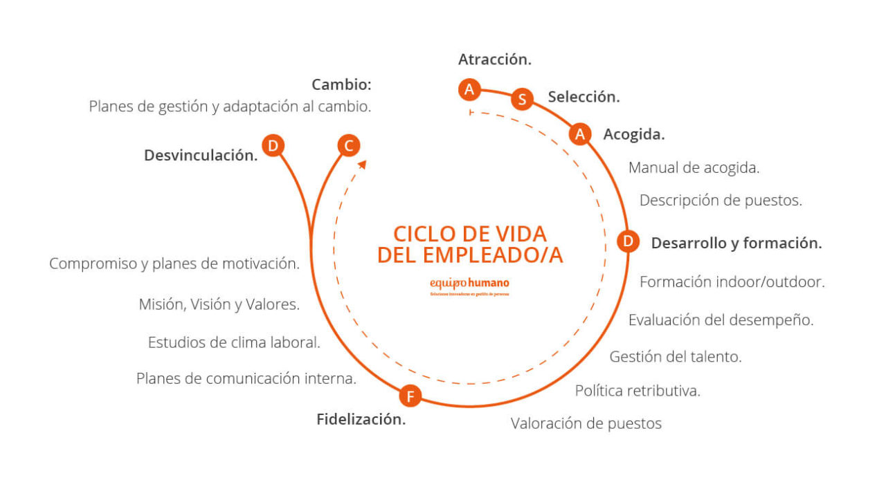 Ciclo de vida del empleado