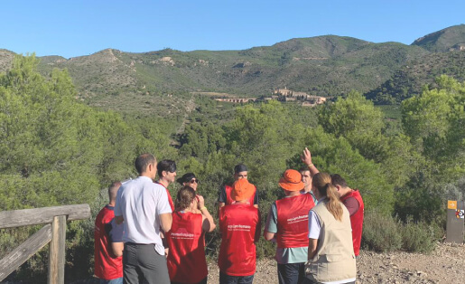 Mejora la cohesión de tus equipos con Team Building.