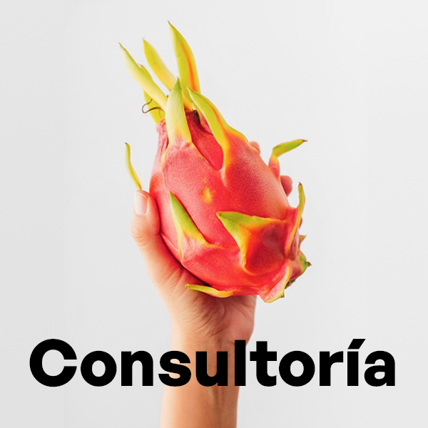 Consultoría