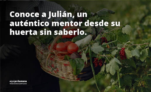 mentoring
