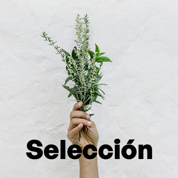 Selección