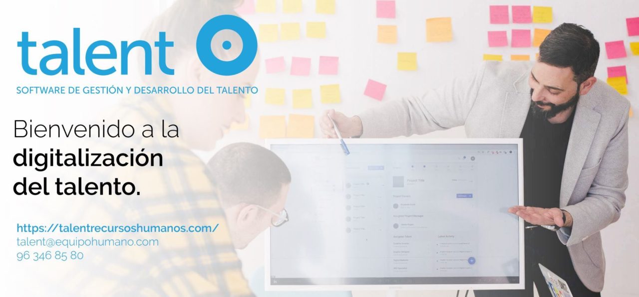 software talent